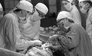 Dr. Ton That Tung: The Surgeon Who Revolutionized Liver Surgery and Honored by Google - image 2