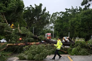 Storm Wipha Aftermath: Flooding and Damage Reported in China - image 0