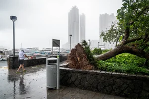 Storm Wipha Aftermath: Flooding and Damage Reported in China - image 6