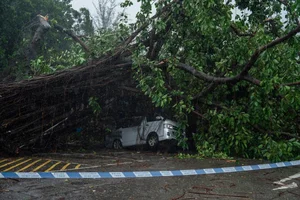 Storm Wipha Aftermath: Flooding and Damage Reported in China - image 7