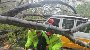 Storm Wipha Aftermath: Flooding and Damage Reported in China - image 8