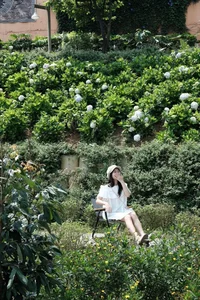 Escaping the Heat: Why Young Travelers are Flocking to Tam Dao This Weekend - image 5