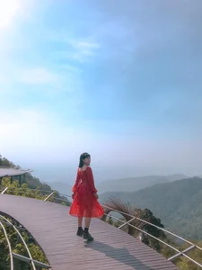 Escaping the Heat: Why Young Travelers are Flocking to Tam Dao This Weekend - image 1