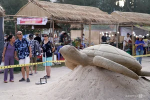 Giant Sea Turtles and Sand Sculptures Amaze Vung Tau Tourists - image 1