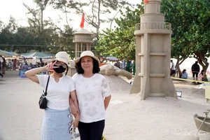 Giant Sea Turtles and Sand Sculptures Amaze Vung Tau Tourists - image 0