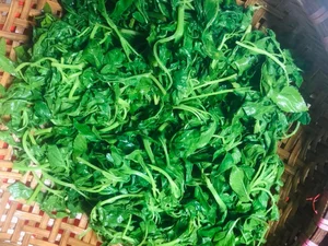 From Wild Forage to Expensive Delicacy: The Rise of Organic Wild Vegetables - image 1