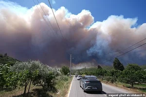 Daily Life in Europe Amidst Record-Breaking Heatwaves - image 4