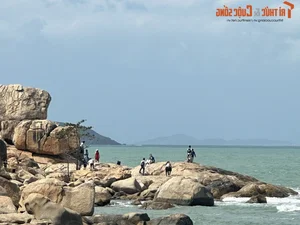 Spring Vibes in Nha Trang: Celebrating Lunar New Year by the Sea - image 3