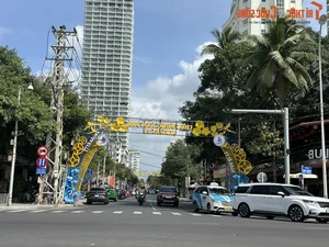 Spring Vibes in Nha Trang: Celebrating Lunar New Year by the Sea - image 7