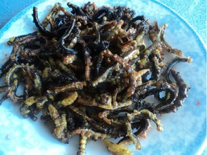 Cassia Worm Pupae: The Bizarre Central Highlands Delicacy to Try - image 2