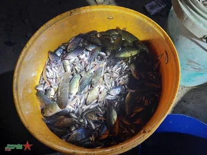 Life on the Water: Capturing the Floating Season of An Giang Border Region - image 5