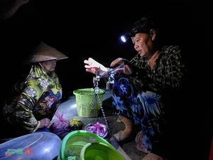 Life on the Water: Capturing the Floating Season of An Giang Border Region - image 6