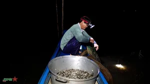 Life on the Water: Capturing the Floating Season of An Giang Border Region - image 4