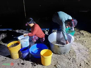Life on the Water: Capturing the Floating Season of An Giang Border Region - image 10