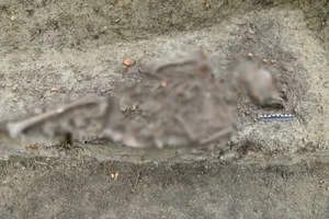 The Mystery of the Vampire Child Grave Discovered in Poland - image 0