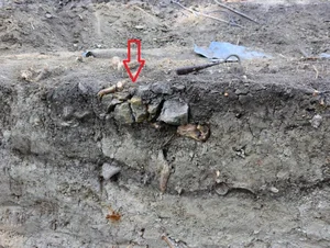 The Mystery of the Vampire Child Grave Discovered in Poland - image 1