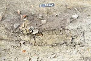 The Mystery of the Vampire Child Grave Discovered in Poland - image 5
