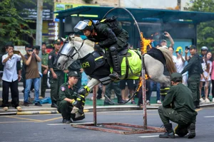 Spectacular Cavalry Performance and Police Horse Parade in Ho Chi Minh City - image 1