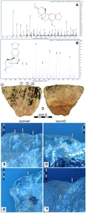 Ancient Hunting Mastery: How Five Poisoned Arrows Reveal Sophisticated Prehistoric Tactics - image 1