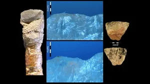 Ancient Hunting Mastery: How Five Poisoned Arrows Reveal Sophisticated Prehistoric Tactics - image 7