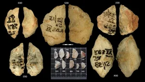 Ancient Hunting Mastery: How Five Poisoned Arrows Reveal Sophisticated Prehistoric Tactics - image 2