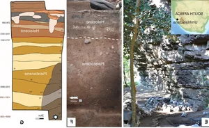 Ancient Hunting Mastery: How Five Poisoned Arrows Reveal Sophisticated Prehistoric Tactics - image 5