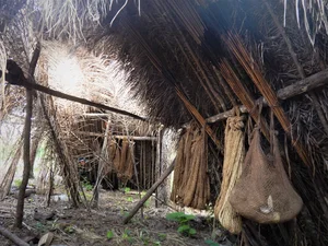 The Silent Guardians: Exploring the Isolated Indigenous Tribes of the Amazon - image 5