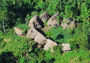 The Silent Guardians: Exploring the Isolated Indigenous Tribes of the Amazon - image 3
