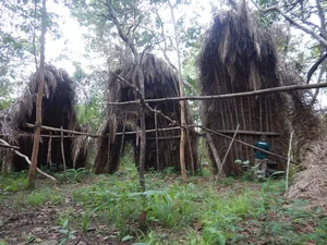 The Silent Guardians: Exploring the Isolated Indigenous Tribes of the Amazon - image 1