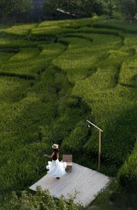Lao Chai: The Serene Muse of Sapa Captivating Global Travelers - image 4