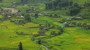Lao Chai: The Serene Muse of Sapa Captivating Global Travelers - image 0