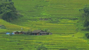 Lao Chai: The Serene Muse of Sapa Captivating Global Travelers - image 5