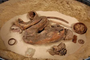 5,600-Year-Old Mummy Reveals Incredible Secrets from the Past - image 1