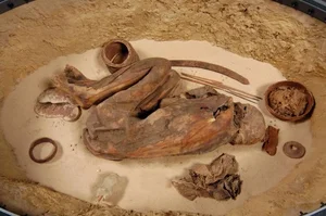 5,600-Year-Old Mummy Reveals Incredible Secrets from the Past - image 0