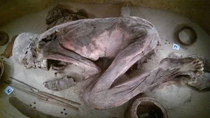 5,600-Year-Old Mummy Reveals Incredible Secrets from the Past - image 8