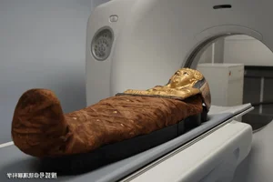 Unveiling the Secrets of a 3000 Year Old Egyptian Priestess Mummy - image 5