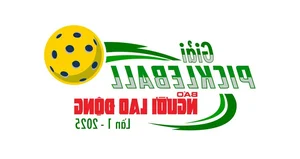 Nguoi Lao Dong Newspaper Pickleball Tournament: Binh Minh Advances, Minh Hang Exits - image 2