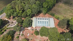 Ancient 2,000-Year-Old Stone Tomb Discovered in the Middle of Rubber Plantation - image 8