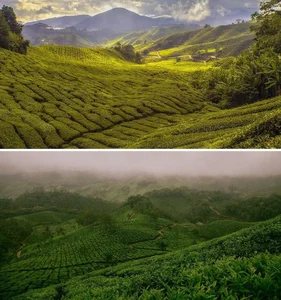 Stunning Travel Discoveries: Famous Global Landmarks That Look Identical - image 8