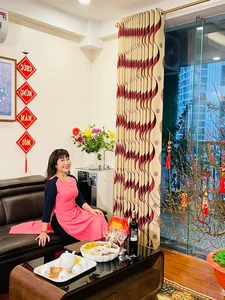 Meritorious Artist Thu Huong Reflects on Her Iconic Comedy Career - image 2