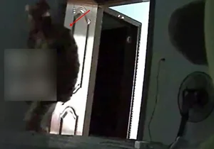 A Father's Betrayal: Coveting His Son's Girlfriend Leads to a Bitter End - image 7