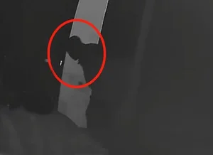 A Father's Betrayal: Coveting His Son's Girlfriend Leads to a Bitter End - image 1