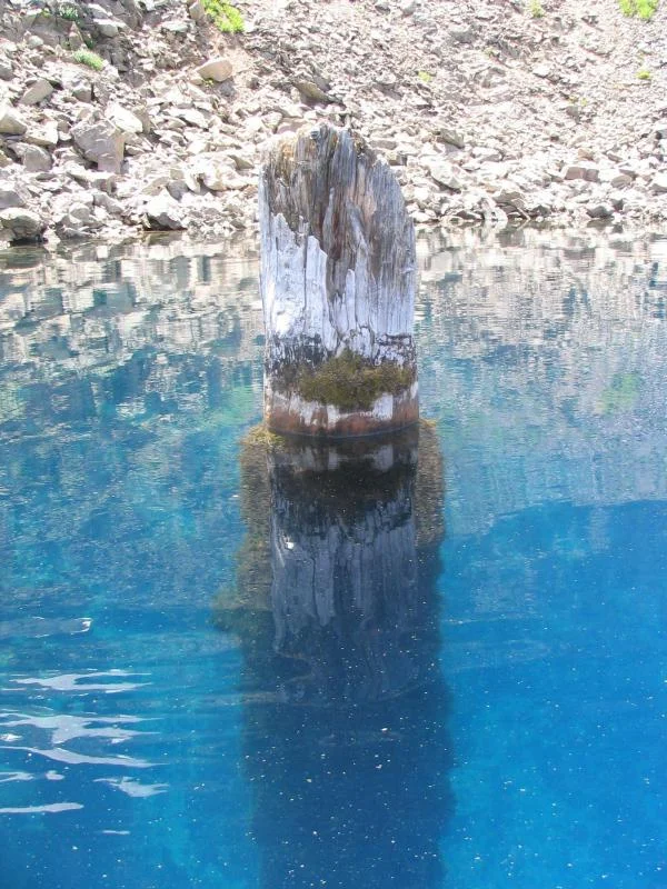 The Mystery of the 'Old Man of the Lake': A Vertical Floating Log