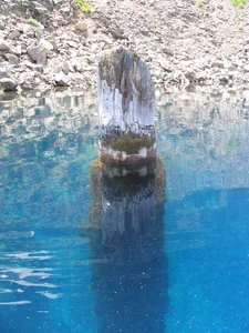 The Mystery of the 'Old Man of the Lake': A Vertical Floating Log - image 0