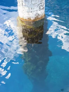 The Mystery of the 'Old Man of the Lake': A Vertical Floating Log - image 4