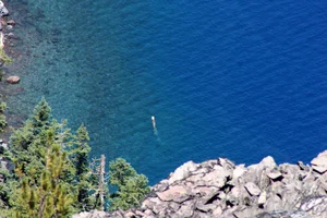 The Mystery of the 'Old Man of the Lake': A Vertical Floating Log - image 6