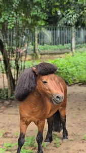 Unique Animal Names at Saigon Zoo: The Story of 'Cong Thi Tai No' - image 5