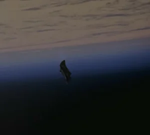 Decoding Ancient Space Anomalies: Is the Mysterious Satellite Real or a Myth? - image 1