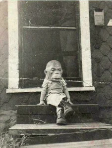 Rare Historical Photos Revealing Daily Life Around the World - image 5