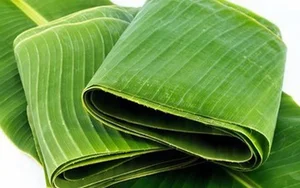 How a Discarded Leaf Earns Vietnam Millions in Annual Exports - image 3